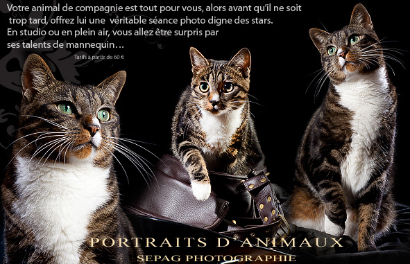 SEPAG photo animaux